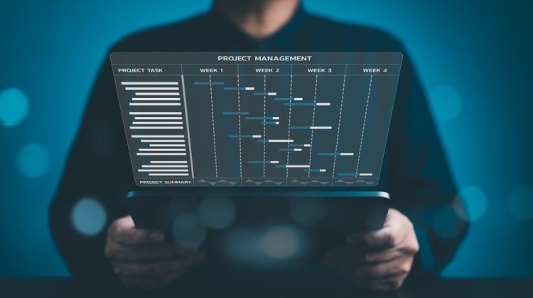 construction project management vs real estate