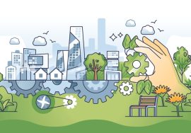 Excellence in Business Growth