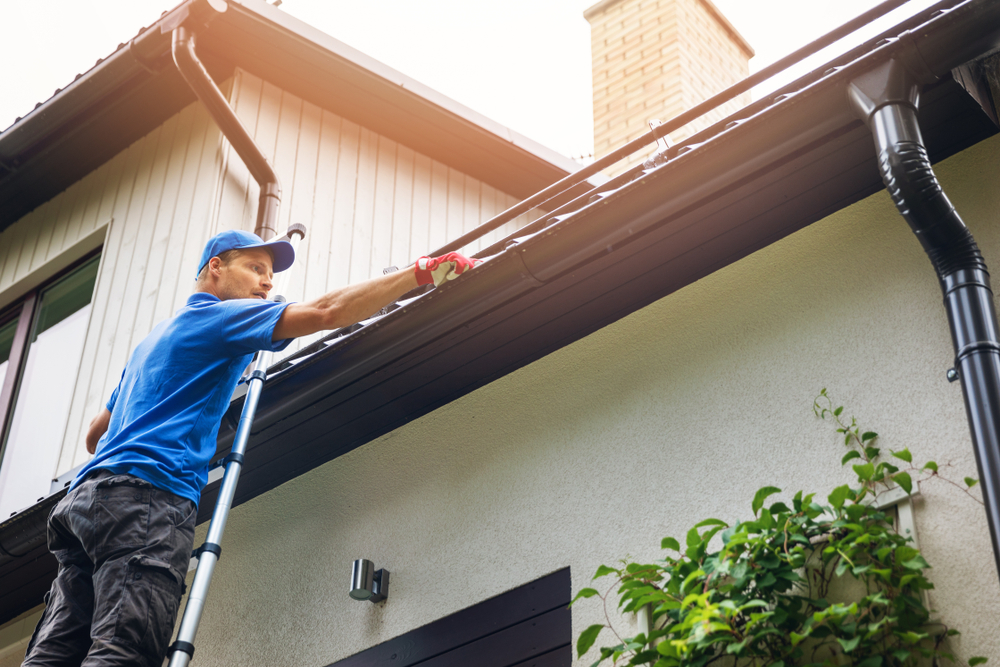 Property Leasing Services