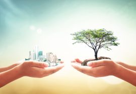 Water-Efficient Construction