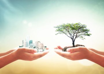 Water-Efficient Construction