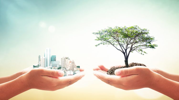 Water-Efficient Construction