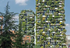 Lifecycle Assessment in Construction