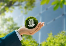 Sustainable construction techniques