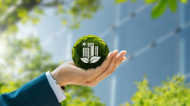 Sustainable construction techniques