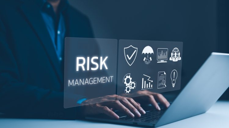 Risk Management Consulting
