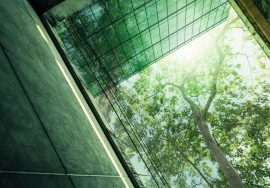 LEED-Certified Buildings