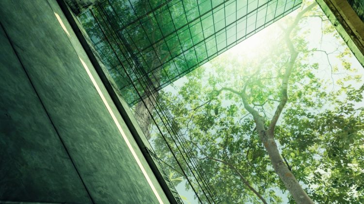 LEED-Certified Buildings