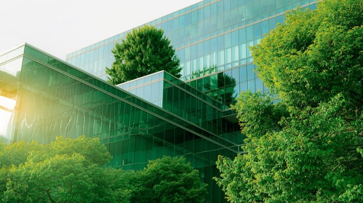 Eco-Conscious Building Design