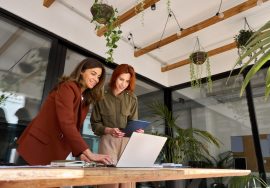 Project Excellence Frameworks