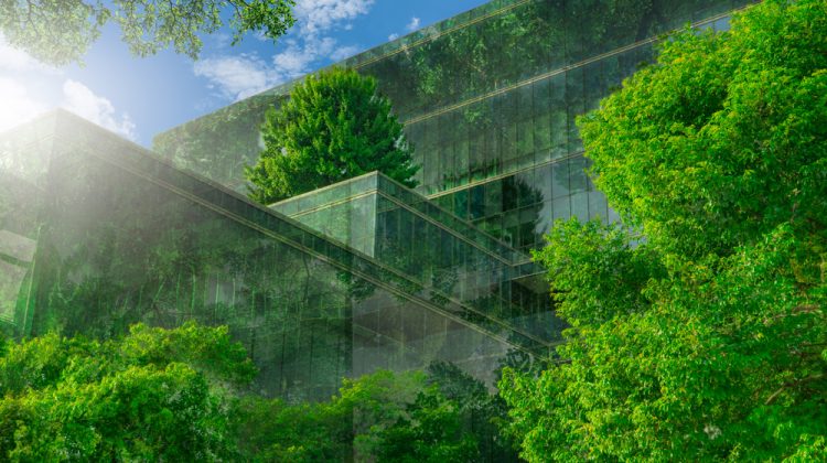 green building trends 2026