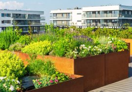 Budget Planning Failure in Construction