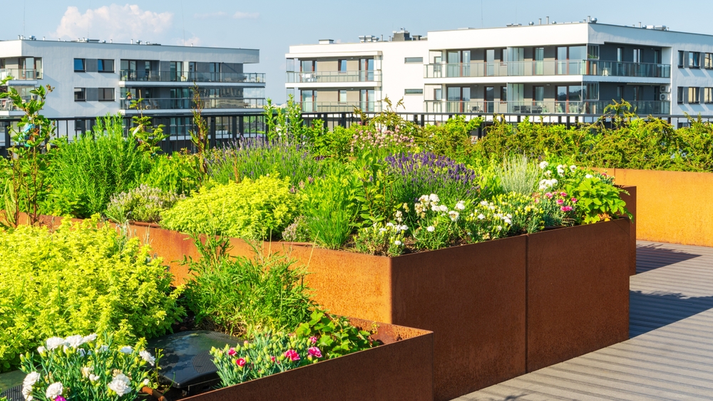 Energy Efficiency in Handover Phase