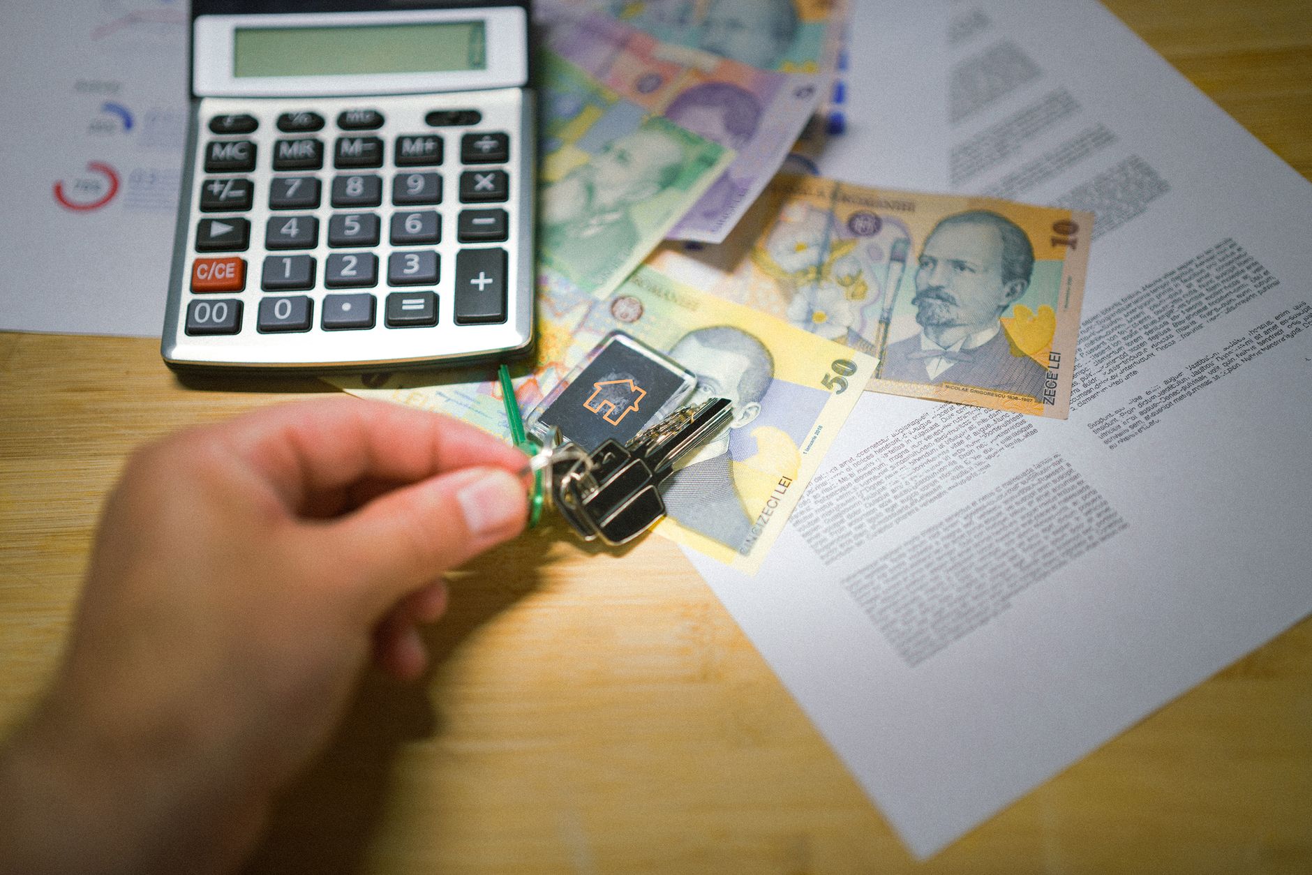 Cost Management support for commercial construction project planning and site coordination